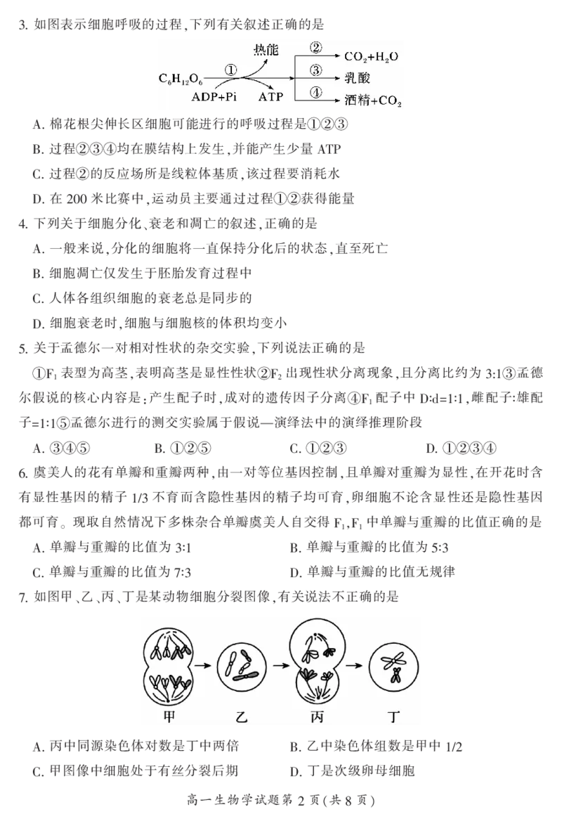 湖南省郴州市2023-2024学年高一下学期期末考试生物试题_2024-2025高一（7-7月题库）_2024年8月试卷_0820湖南省郴州市2023-2024学年高一下学期期末教学质量监测