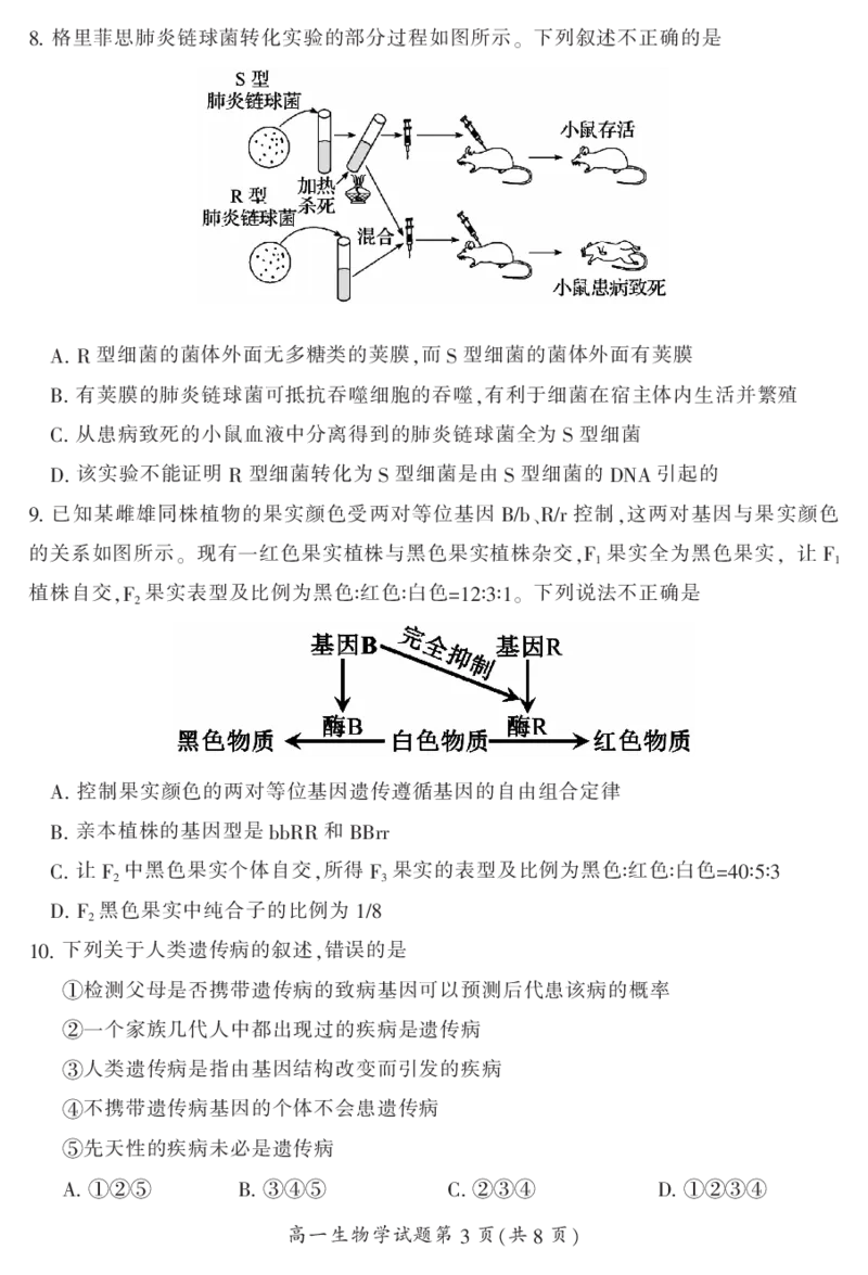 湖南省郴州市2023-2024学年高一下学期期末考试生物试题_2024-2025高一（7-7月题库）_2024年8月试卷_0820湖南省郴州市2023-2024学年高一下学期期末教学质量监测