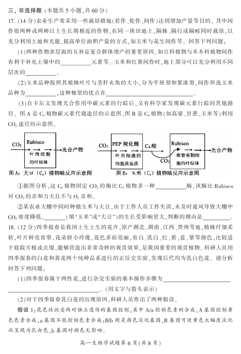 湖南省郴州市2023-2024学年高一下学期期末考试生物试题_2024-2025高一（7-7月题库）_2024年8月试卷_0820湖南省郴州市2023-2024学年高一下学期期末教学质量监测