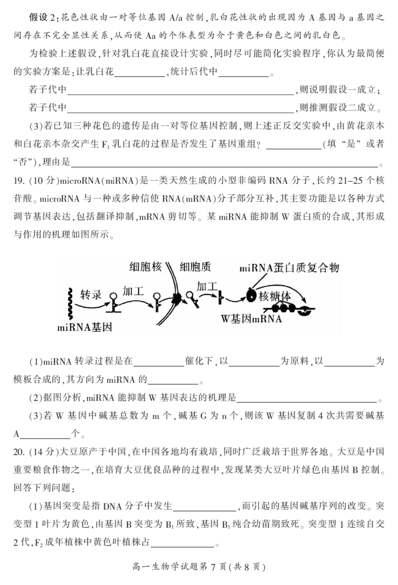 湖南省郴州市2023-2024学年高一下学期期末考试生物试题_2024-2025高一（7-7月题库）_2024年8月试卷_0820湖南省郴州市2023-2024学年高一下学期期末教学质量监测