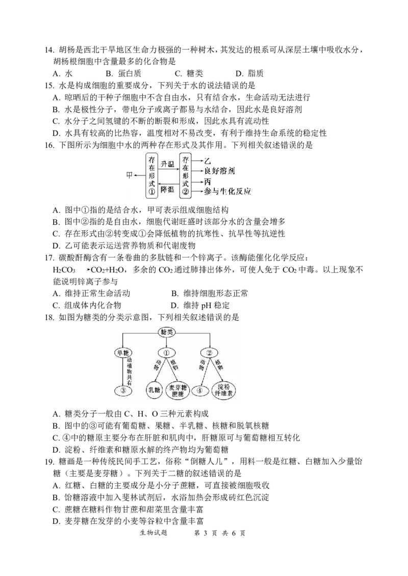 生物-四川省绵阳南山中学高2024级高一上学期10月月考_2024-2025高一（7-7月题库）_2024年10月试卷_1019四川省绵阳南山中学高2024级高一上学期10月月考