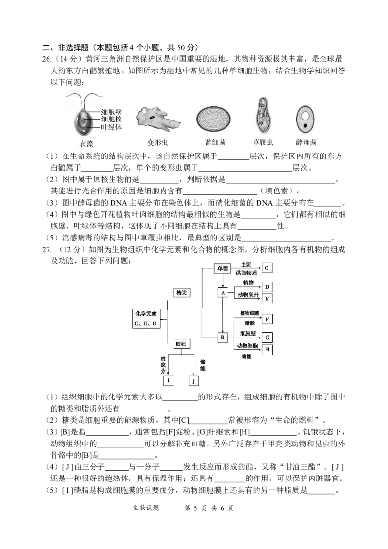 生物-四川省绵阳南山中学高2024级高一上学期10月月考_2024-2025高一（7-7月题库）_2024年10月试卷_1019四川省绵阳南山中学高2024级高一上学期10月月考