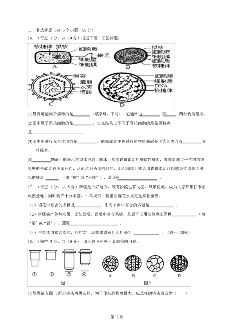 高一生物月考试题_2024-2025高一（7-7月题库）_2024年10月试卷_1026四川省南充市嘉陵第一中学2024-2025学年高一上学期10月月考