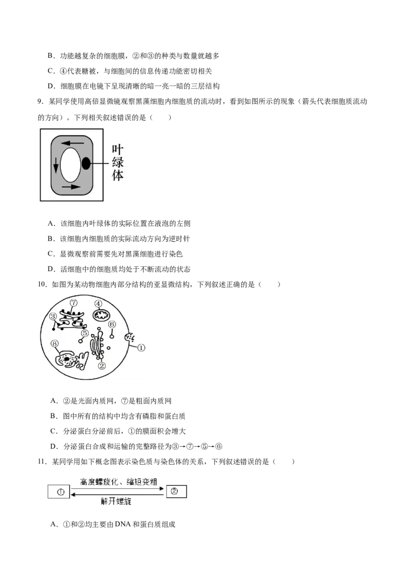河北省邯郸市五校2025-2026学年高一上学期期中考试生物Word版含答案_2024-2025高一（7-7月题库）_2026年1月高一_260111河北省邯郸市五校2025-2026学年高一上学期期中考试