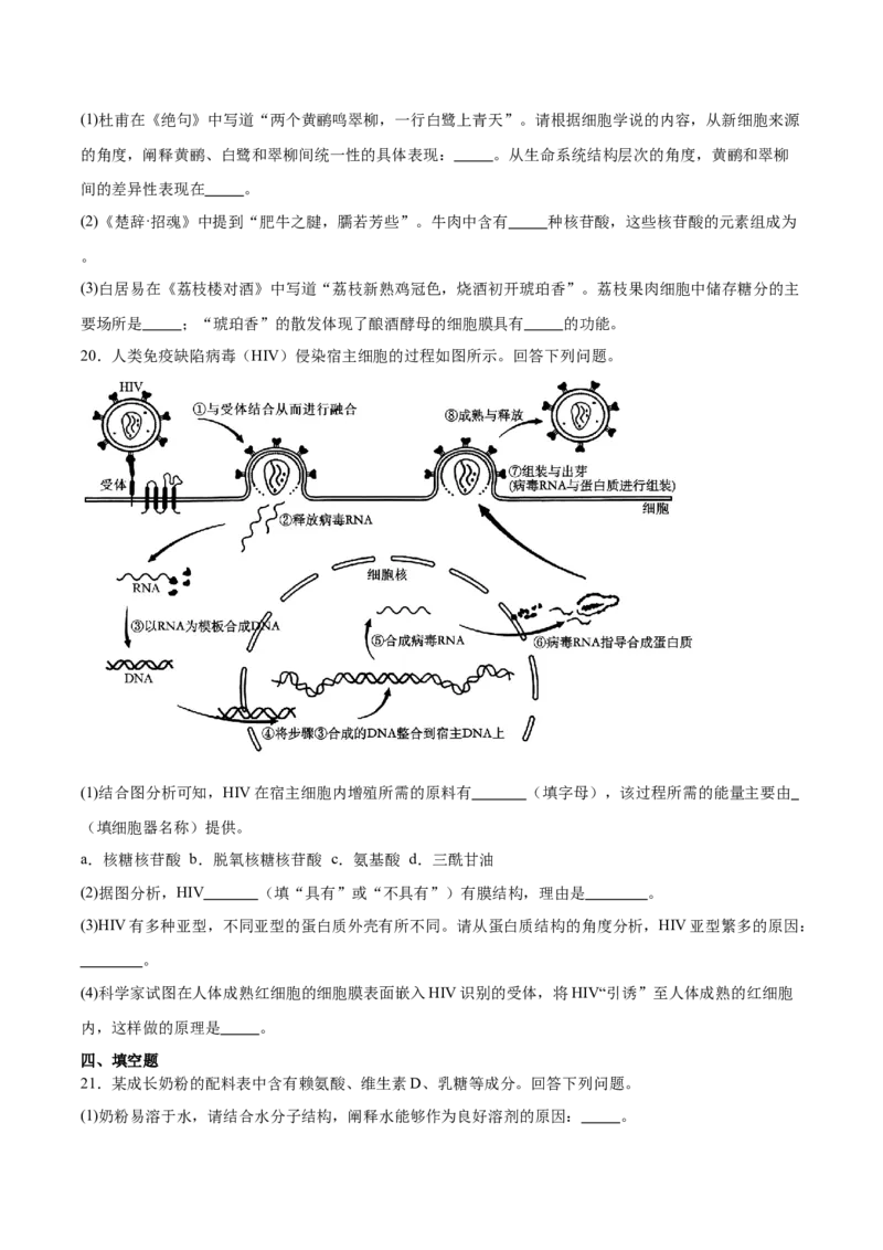 河北省邯郸市五校2025-2026学年高一上学期期中考试生物Word版含答案_2024-2025高一（7-7月题库）_2026年1月高一_260111河北省邯郸市五校2025-2026学年高一上学期期中考试