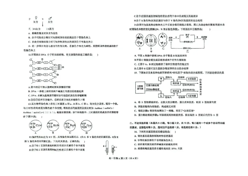 辽宁省鞍山市2024-2025学年高一下学期期中考试生物（A）PDF版含答案_2024-2025高一（7-7月题库）_2025年6月7.10新增_0601辽宁省鞍山市2024-2025学年高一下学期期中考试