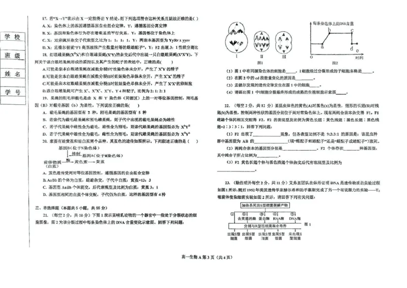 辽宁省鞍山市2024-2025学年高一下学期期中考试生物（A）PDF版含答案_2024-2025高一（7-7月题库）_2025年6月7.10新增_0601辽宁省鞍山市2024-2025学年高一下学期期中考试