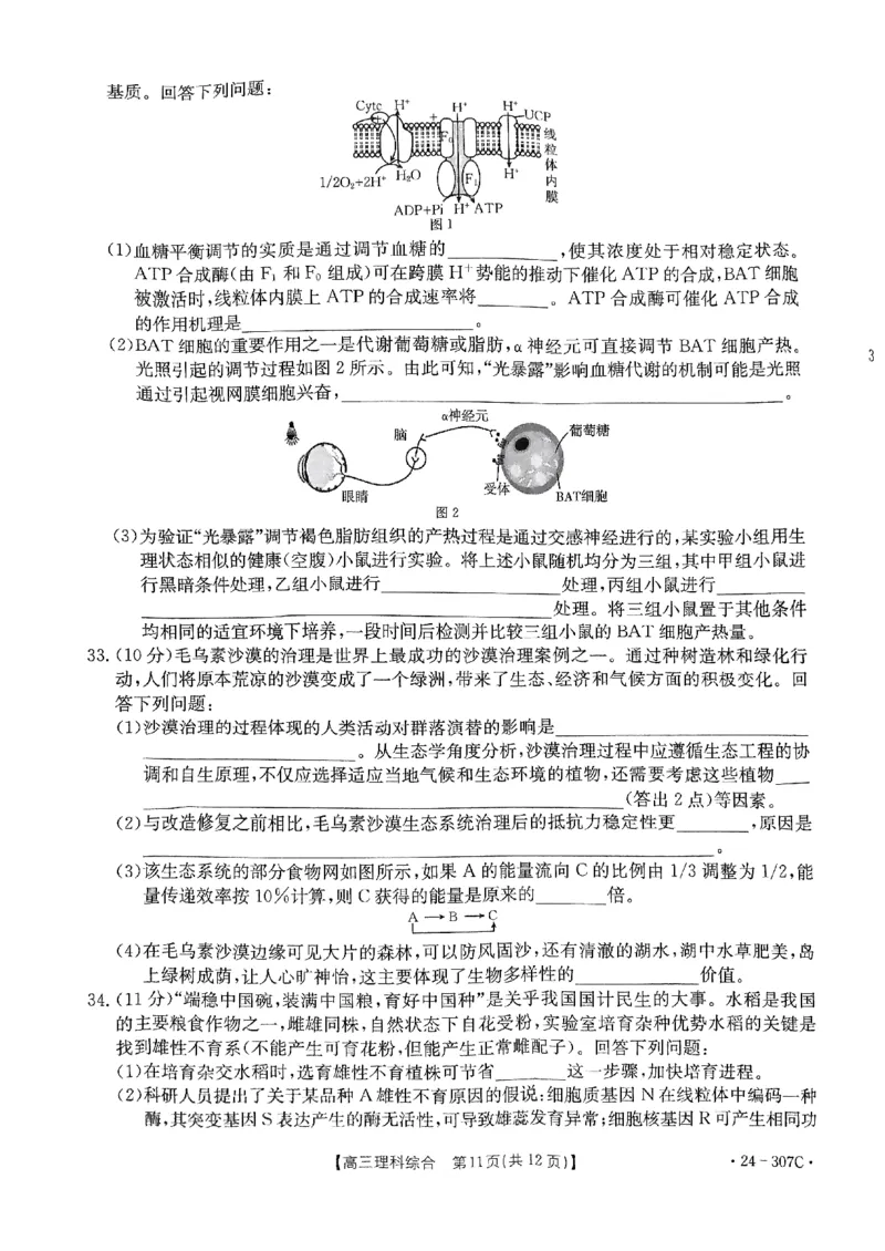 扫描件_理科综合307C_2024年2月_01每日更新_06号_2024届河南省创新发展联盟高三上学期2月期末（307C）_河南省创新发展联盟2024届高三上学期2月期末（307C）理综