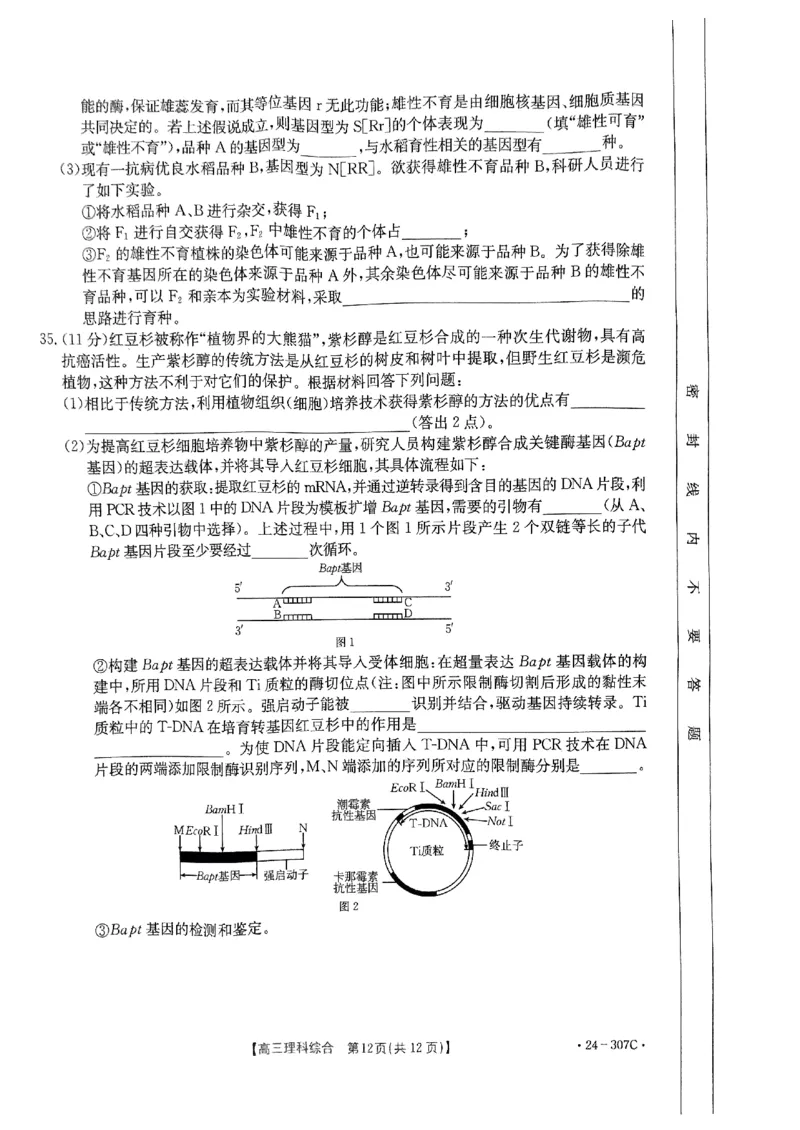 扫描件_理科综合307C_2024年2月_01每日更新_06号_2024届河南省创新发展联盟高三上学期2月期末（307C）_河南省创新发展联盟2024届高三上学期2月期末（307C）理综