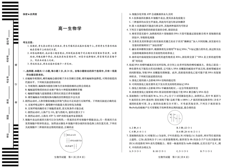 生物学湖南高一期末_2024-2025高一（7-7月题库）_2025年7月_250703天一大联考&middot;湖南省2024-2025学年（下）高一年级期末考试