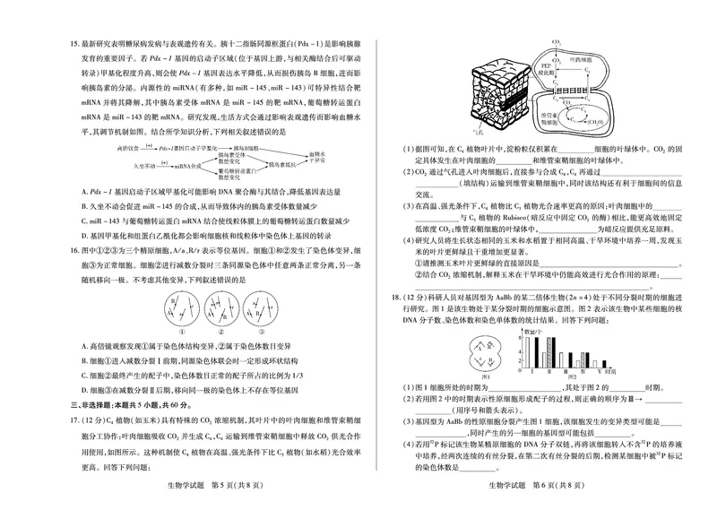 生物学湖南高一期末_2024-2025高一（7-7月题库）_2025年7月_250703天一大联考&middot;湖南省2024-2025学年（下）高一年级期末考试