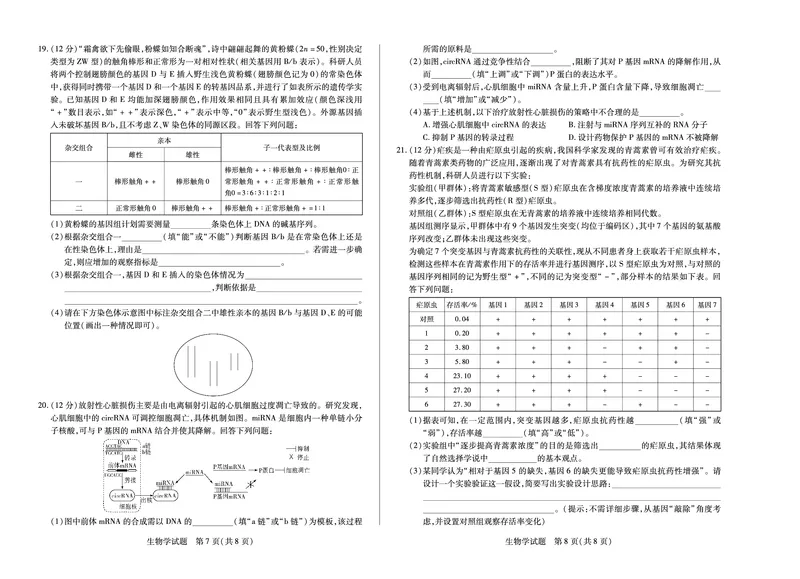 生物学湖南高一期末_2024-2025高一（7-7月题库）_2025年7月_250703天一大联考&middot;湖南省2024-2025学年（下）高一年级期末考试