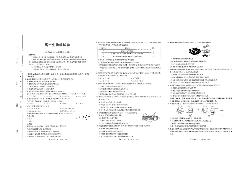 生物_2024-2025高一（7-7月题库）_2024年10月试卷_1031吉林省2025年高一金太阳10月联考