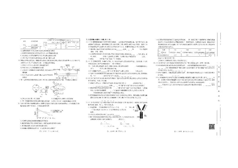 生物_2024-2025高一（7-7月题库）_2024年10月试卷_1031吉林省2025年高一金太阳10月联考