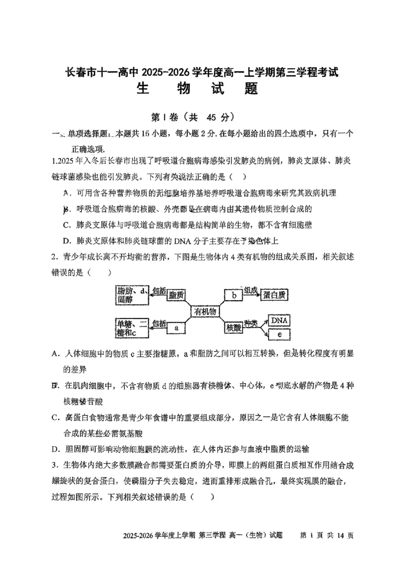 生物试题卷-吉林省长春市第十一中学高中2025-2026学年1月高一上学期第三学程考试暨期末考试(1.13-1.14)_2024-2025高一（7-7月题库）_2026年1月高一