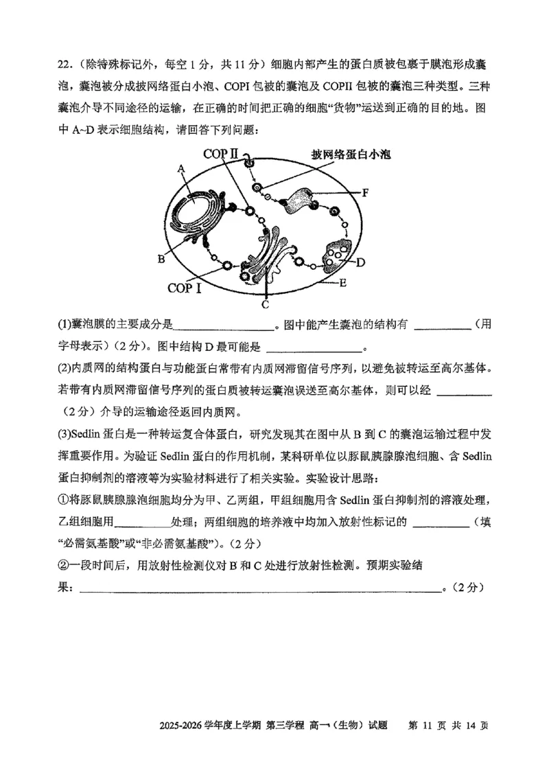 生物试题卷-吉林省长春市第十一中学高中2025-2026学年1月高一上学期第三学程考试暨期末考试(1.13-1.14)_2024-2025高一（7-7月题库）_2026年1月高一