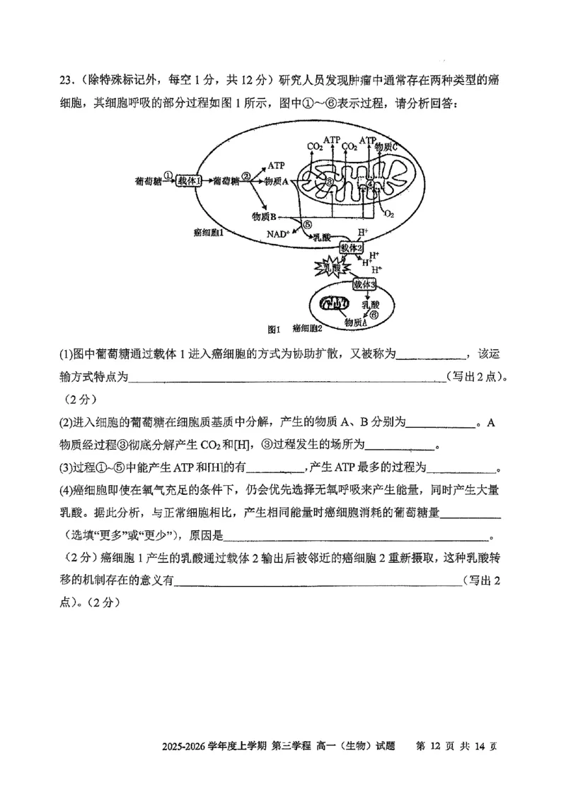 生物试题卷-吉林省长春市第十一中学高中2025-2026学年1月高一上学期第三学程考试暨期末考试(1.13-1.14)_2024-2025高一（7-7月题库）_2026年1月高一