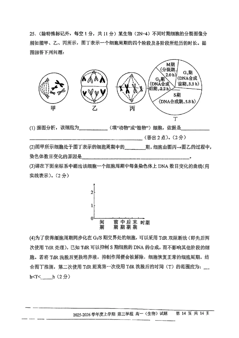 生物试题卷-吉林省长春市第十一中学高中2025-2026学年1月高一上学期第三学程考试暨期末考试(1.13-1.14)_2024-2025高一（7-7月题库）_2026年1月高一