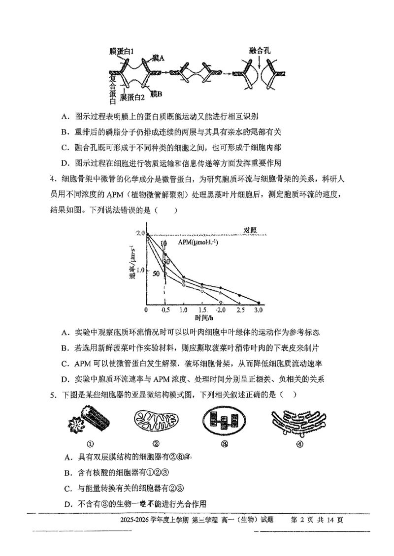 生物试题卷-吉林省长春市第十一中学高中2025-2026学年1月高一上学期第三学程考试暨期末考试(1.13-1.14)_2024-2025高一（7-7月题库）_2026年1月高一