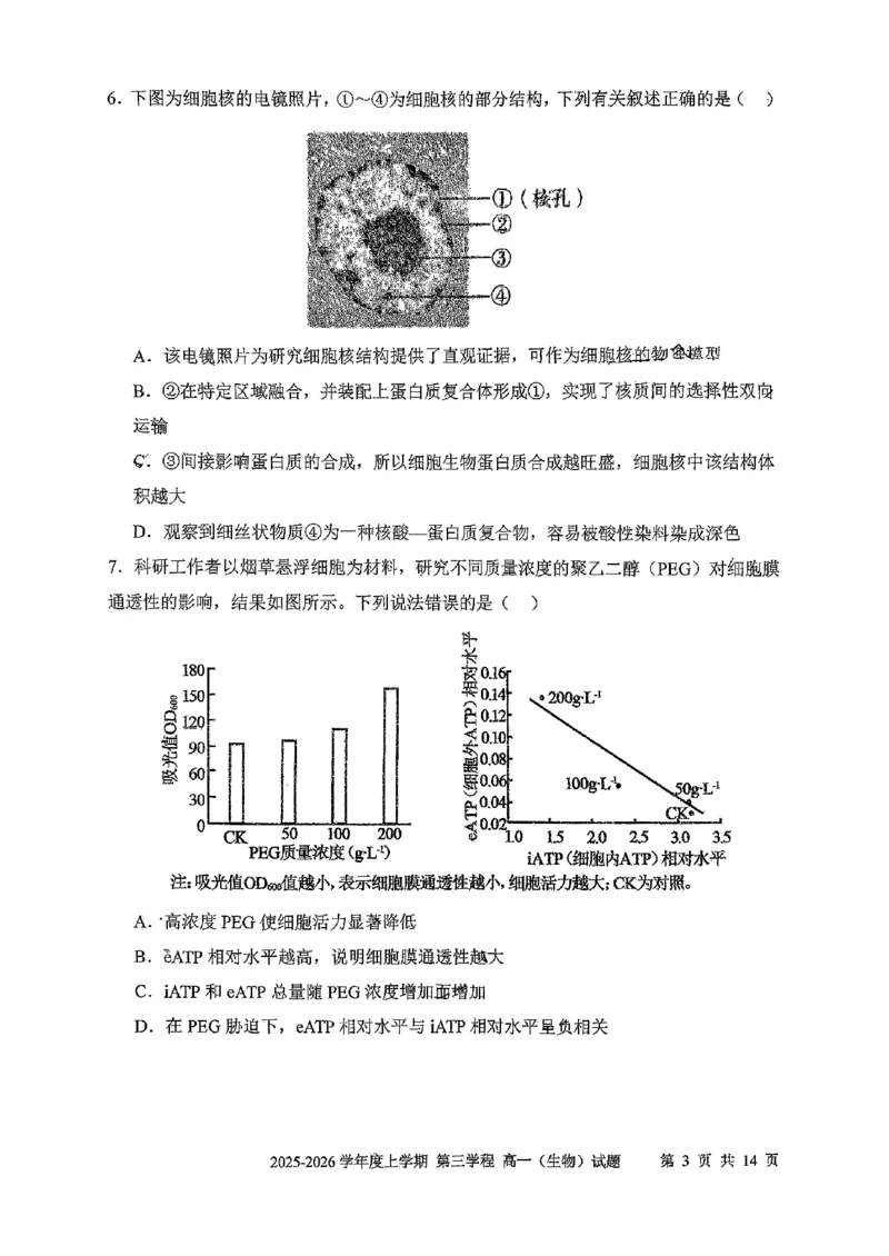 生物试题卷-吉林省长春市第十一中学高中2025-2026学年1月高一上学期第三学程考试暨期末考试(1.13-1.14)_2024-2025高一（7-7月题库）_2026年1月高一