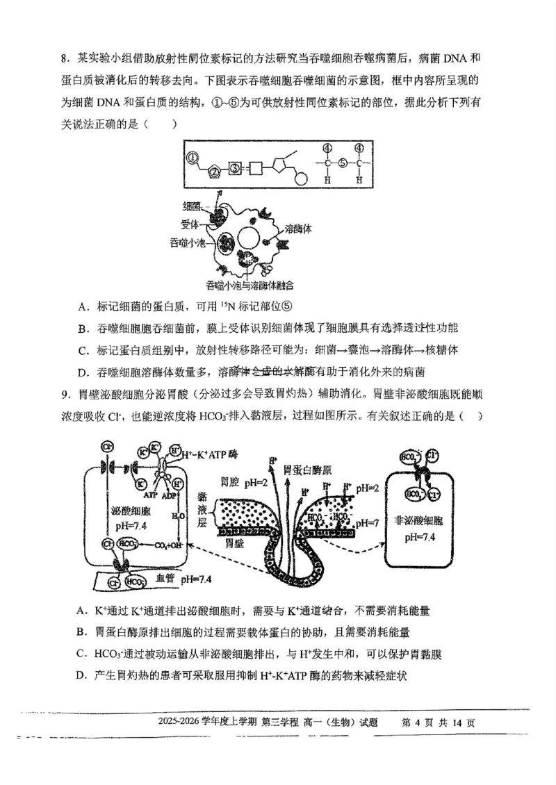 生物试题卷-吉林省长春市第十一中学高中2025-2026学年1月高一上学期第三学程考试暨期末考试(1.13-1.14)_2024-2025高一（7-7月题库）_2026年1月高一