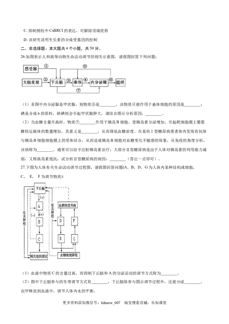 高二生物上学期期末测试卷04（人教版2019选择性必修1）（原卷版）_E015高中全科试卷_生物试题_选修1_4期末试卷_高二生物上学期期末测试卷04（人教版2019选择性必修1）(26014277)