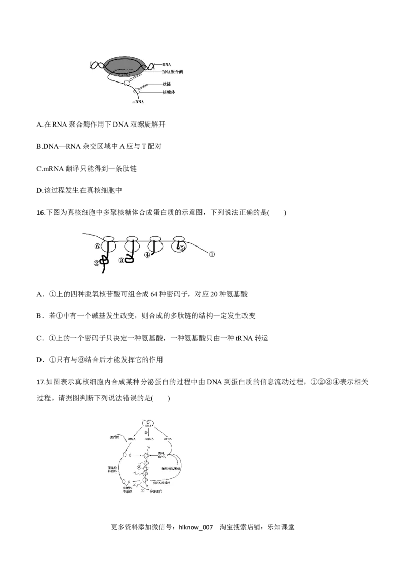 高一生物下学期期末测试卷02（新教材必修二）（原卷版）_E015高中全科试卷_生物试题_必修2_4.期末试卷_高一生物下学期期末测试卷02（新教材必修二）(13770139)