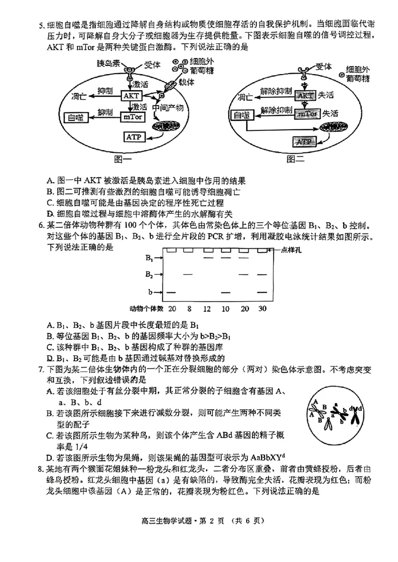 安徽省宣城市、黄山市2024届高中毕业班第二次质量检测+生物试题_2024年4月_01按日期_11号_2024届安徽省黄山宣城高三第二次质量检测