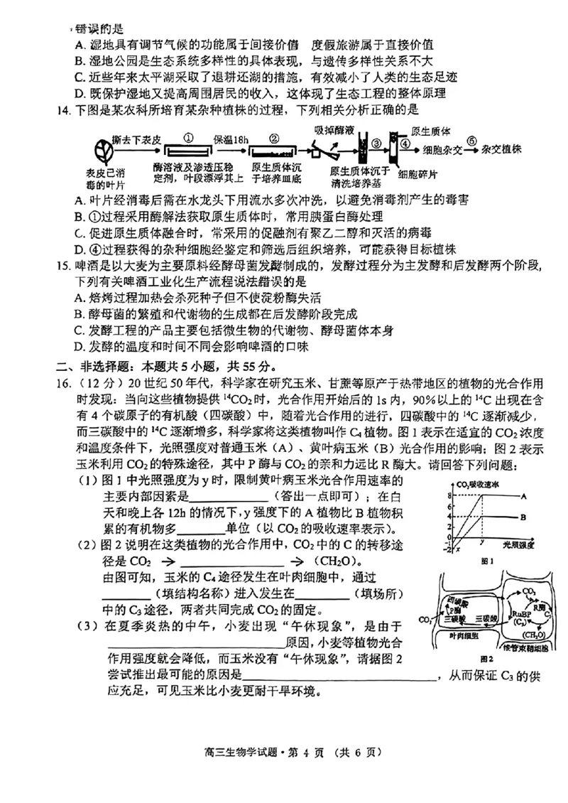 安徽省宣城市、黄山市2024届高中毕业班第二次质量检测+生物试题_2024年4月_01按日期_11号_2024届安徽省黄山宣城高三第二次质量检测