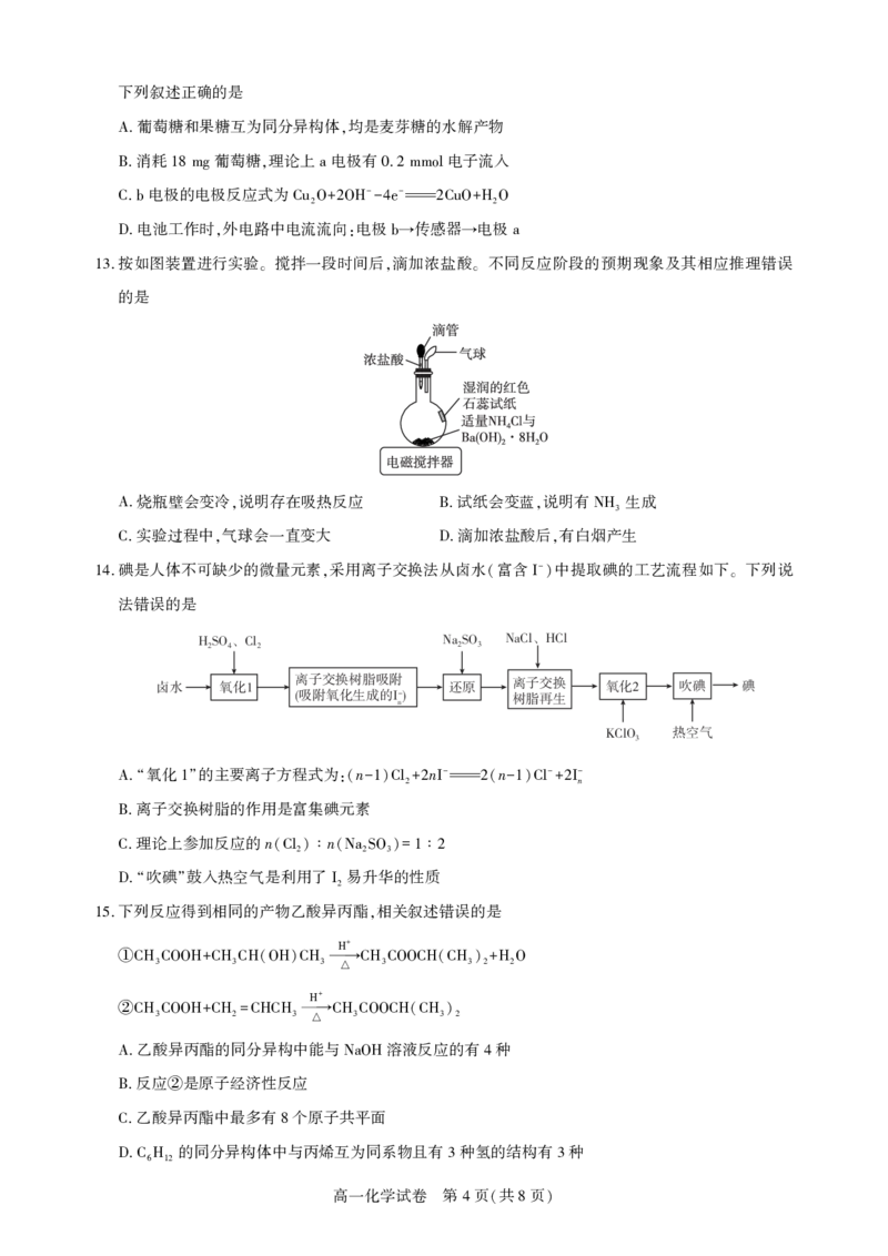 湖北省武汉市七彩联盟2024-2025学年度下学期高一年级6月联考化学_2024-2025高一（7-7月题库）_2025年7月_250702湖北省武汉市七彩联盟2024-2025学年度下学期高一年级6月联考