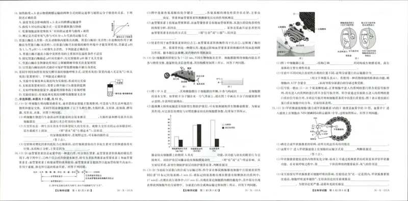 生物-河南省2028届高一年级TOP二十名校十二月调研考试_2024-2025高一（7-7月题库）_2026年1月高一_260120河南省2028届高一年级TOP二十名校十二月调研考试
