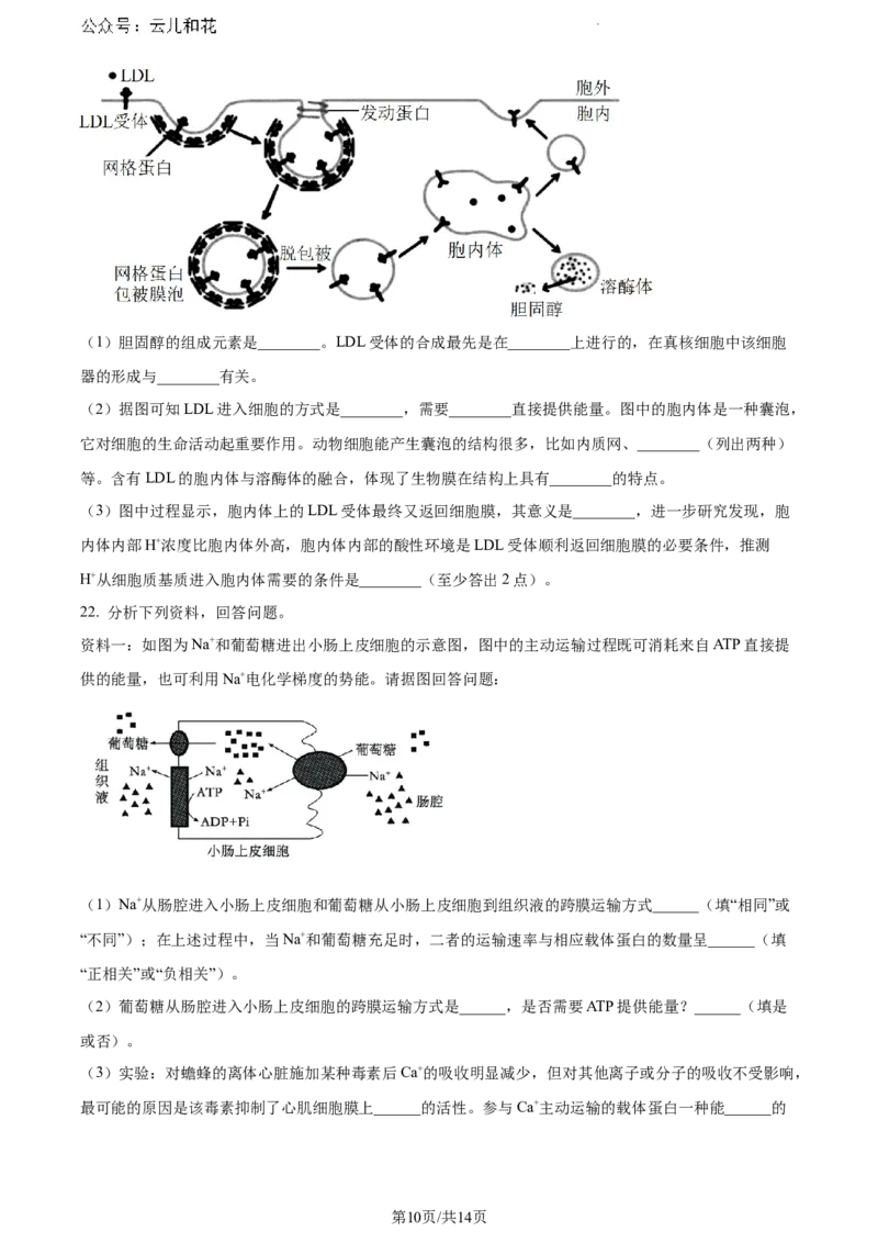 河北省保定市部分高中2023-2024学年高一下学期7月期末考试生物试题_2024-2025高一（7-7月题库）_2024年7月试卷_0710河北省保定市部分高中2023-2024学年高一下学期期末考试