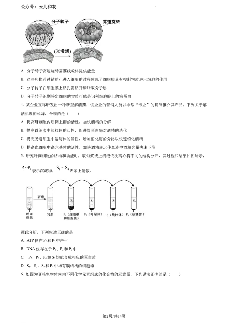 河北省保定市部分高中2023-2024学年高一下学期7月期末考试生物试题_2024-2025高一（7-7月题库）_2024年7月试卷_0710河北省保定市部分高中2023-2024学年高一下学期期末考试