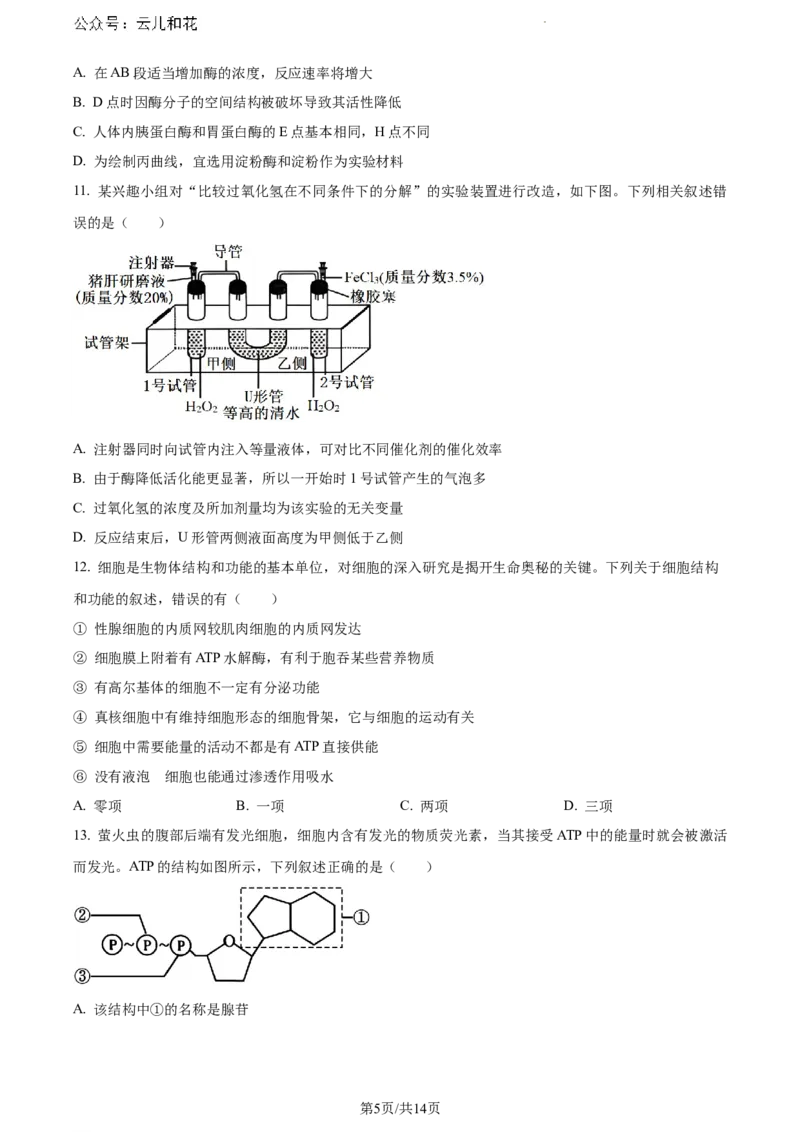河北省保定市部分高中2023-2024学年高一下学期7月期末考试生物试题_2024-2025高一（7-7月题库）_2024年7月试卷_0710河北省保定市部分高中2023-2024学年高一下学期期末考试