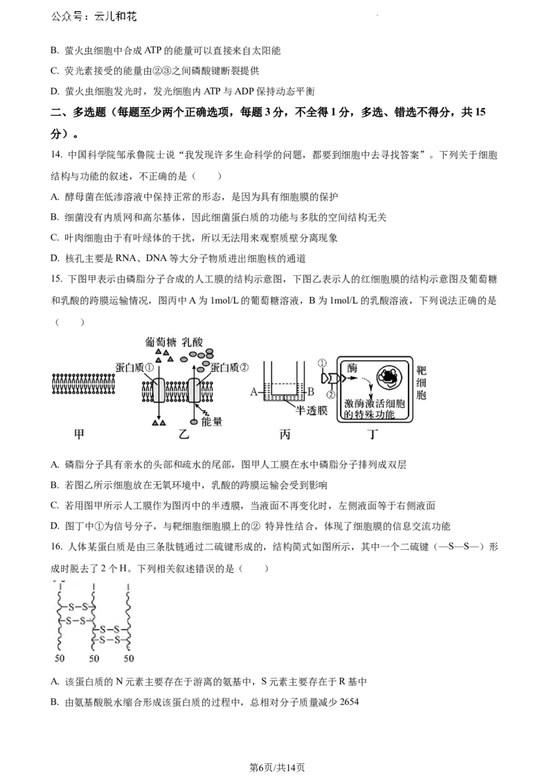 河北省保定市部分高中2023-2024学年高一下学期7月期末考试生物试题_2024-2025高一（7-7月题库）_2024年7月试卷_0710河北省保定市部分高中2023-2024学年高一下学期期末考试