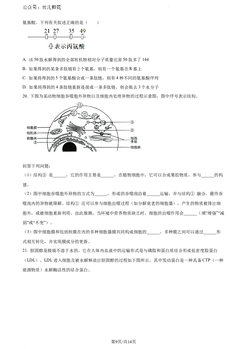 河北省保定市部分高中2023-2024学年高一下学期7月期末考试生物试题_2024-2025高一（7-7月题库）_2024年7月试卷_0710河北省保定市部分高中2023-2024学年高一下学期期末考试