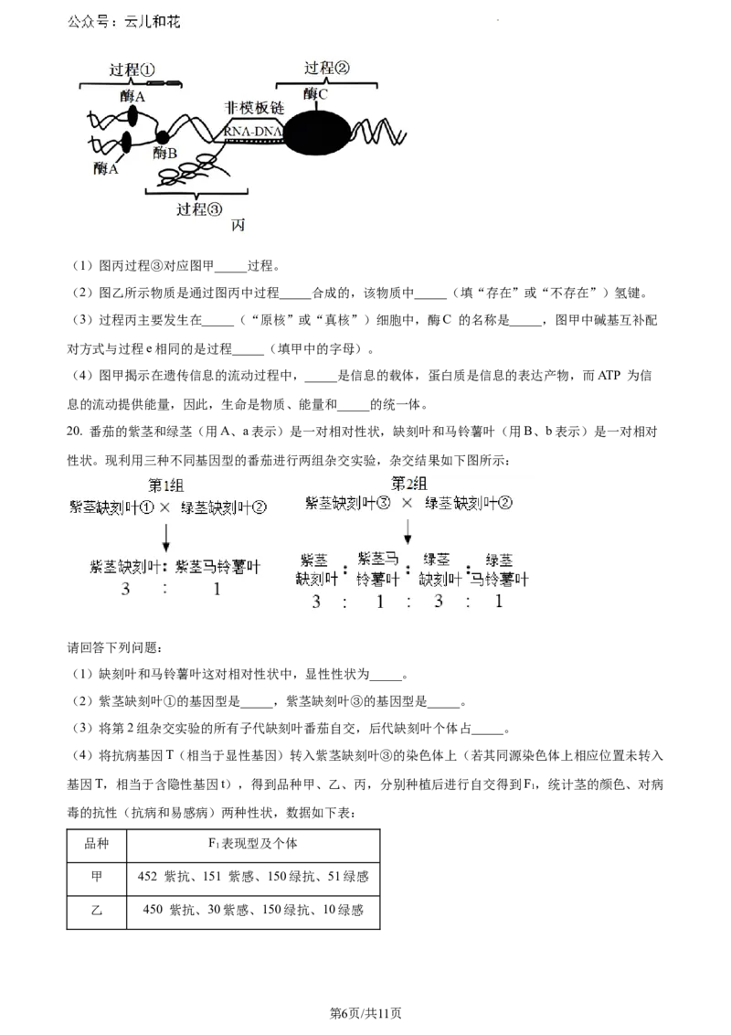 湖北省2023-2024学年高一下学期7月期末生物试题_2024-2025高一（7-7月题库）_2024年7月试卷_0704湖北省七市州教科研协作体2023-2024学年高一下学期期末考试