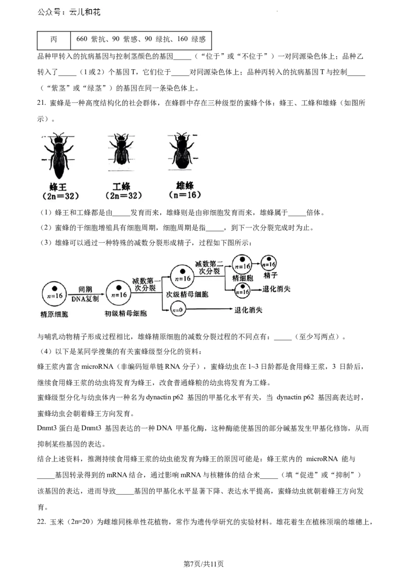 湖北省2023-2024学年高一下学期7月期末生物试题_2024-2025高一（7-7月题库）_2024年7月试卷_0704湖北省七市州教科研协作体2023-2024学年高一下学期期末考试