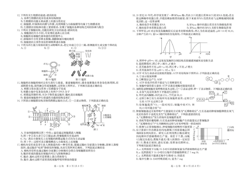 河北省张家口市2025-2026学年高一上学期1月期末生物试卷（图片版，含解析）_2024-2025高一（7-7月题库）_2026年1月高一_260126河北省张家口市2025-2026学年高一上学期期末教学质量监测（全）