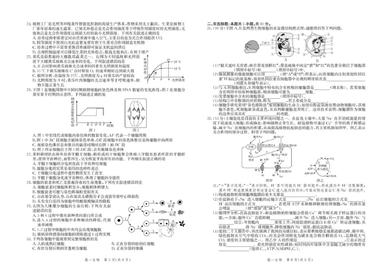 河北省张家口市2025-2026学年高一上学期1月期末生物试卷（图片版，含解析）_2024-2025高一（7-7月题库）_2026年1月高一_260126河北省张家口市2025-2026学年高一上学期期末教学质量监测（全）