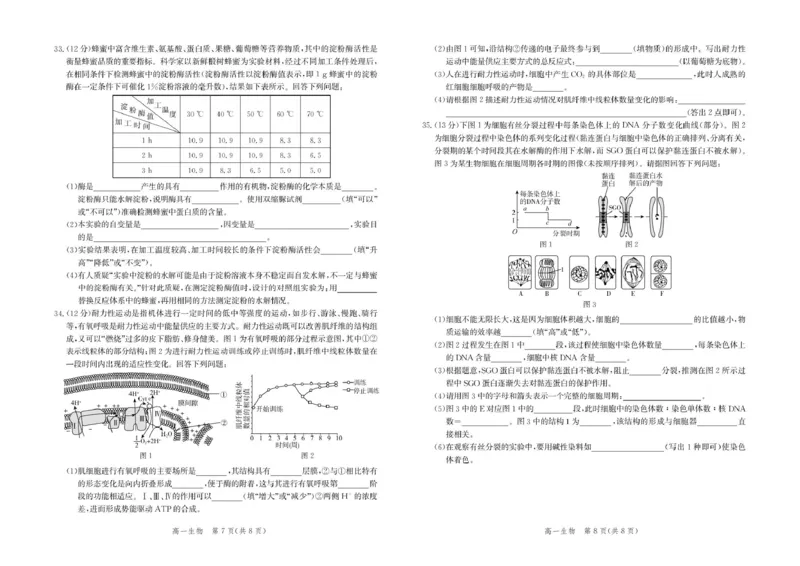 河北省张家口市2025-2026学年高一上学期1月期末生物试卷（图片版，含解析）_2024-2025高一（7-7月题库）_2026年1月高一_260126河北省张家口市2025-2026学年高一上学期期末教学质量监测（全）