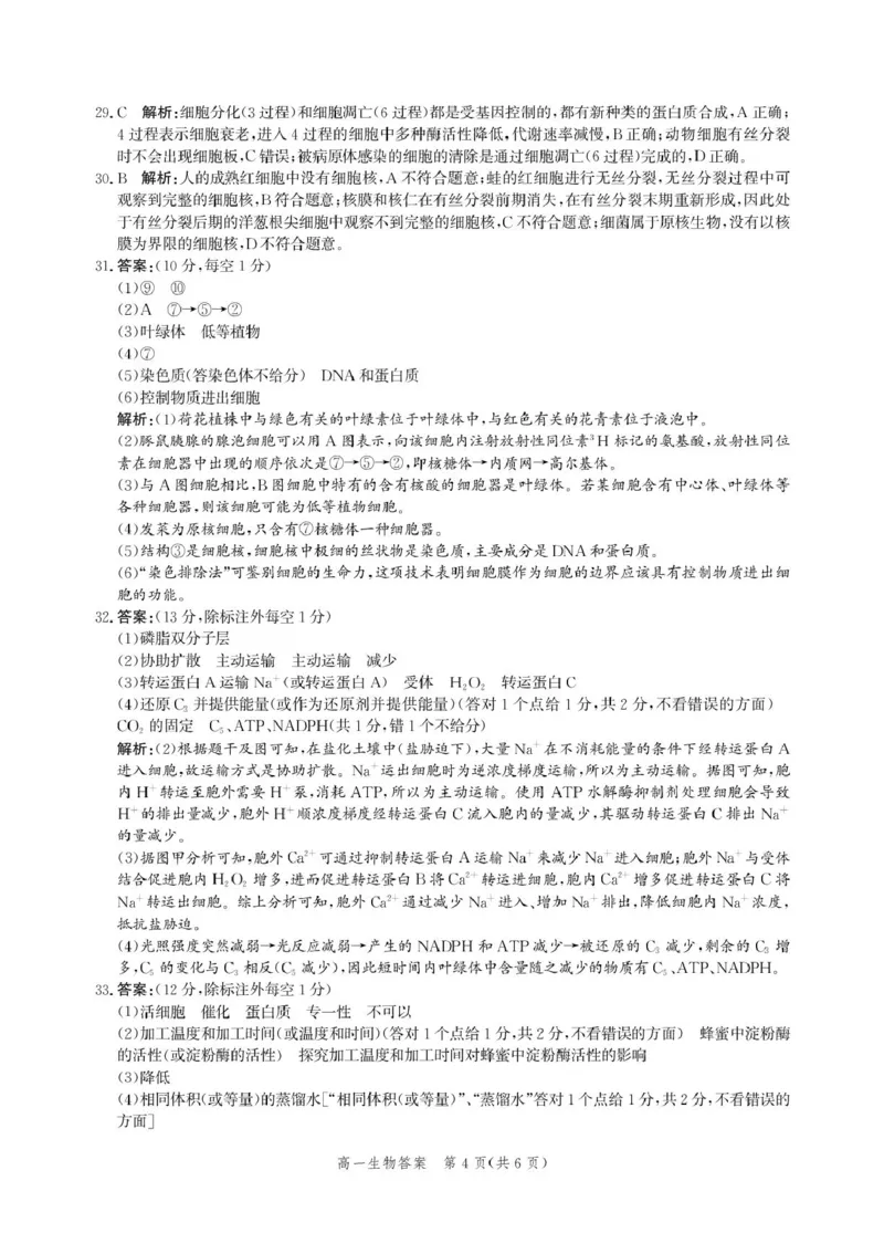 河北省张家口市2025-2026学年高一上学期1月期末生物试卷（图片版，含解析）_2024-2025高一（7-7月题库）_2026年1月高一_260126河北省张家口市2025-2026学年高一上学期期末教学质量监测（全）