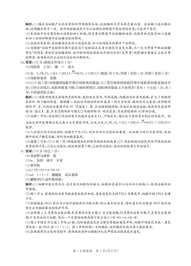 河北省张家口市2025-2026学年高一上学期1月期末生物试卷（图片版，含解析）_2024-2025高一（7-7月题库）_2026年1月高一_260126河北省张家口市2025-2026学年高一上学期期末教学质量监测（全）