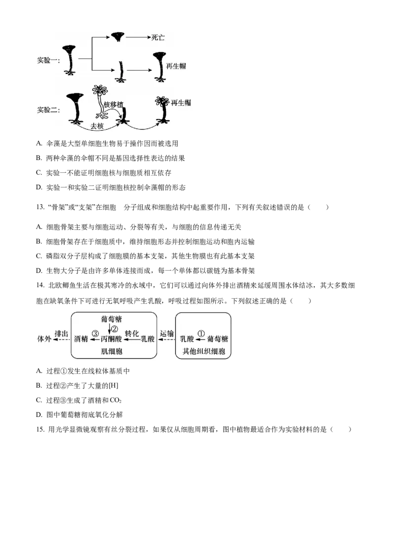 辽宁省葫芦岛市2024-2025学年高一上学期1月期末考试生物学试卷（含答案）_2024-2025高一（7-7月题库）_2025年02月试卷_0226辽宁省葫芦岛市2024-2025学年高一上学期1月期末考试