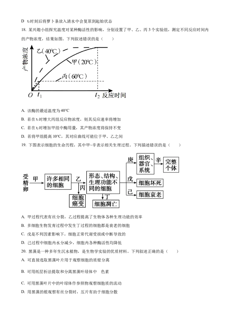 辽宁省葫芦岛市2024-2025学年高一上学期1月期末考试生物学试卷（含答案）_2024-2025高一（7-7月题库）_2025年02月试卷_0226辽宁省葫芦岛市2024-2025学年高一上学期1月期末考试