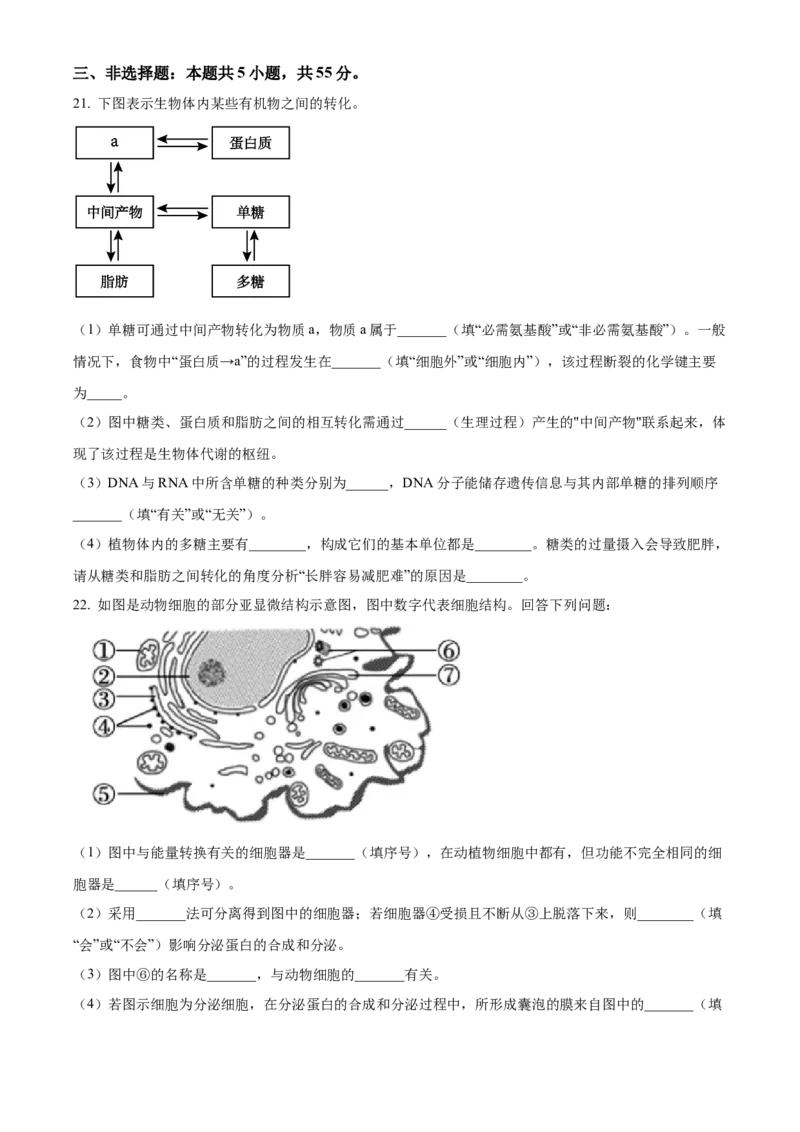 辽宁省葫芦岛市2024-2025学年高一上学期1月期末考试生物学试卷（含答案）_2024-2025高一（7-7月题库）_2025年02月试卷_0226辽宁省葫芦岛市2024-2025学年高一上学期1月期末考试