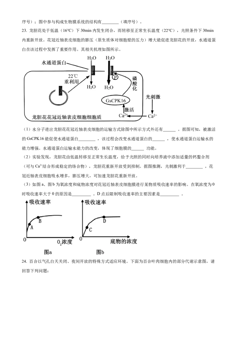 辽宁省葫芦岛市2024-2025学年高一上学期1月期末考试生物学试卷（含答案）_2024-2025高一（7-7月题库）_2025年02月试卷_0226辽宁省葫芦岛市2024-2025学年高一上学期1月期末考试