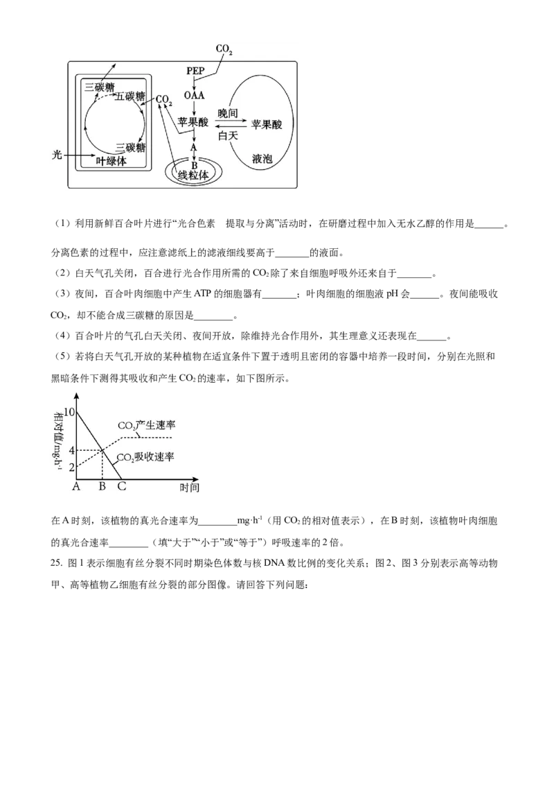 辽宁省葫芦岛市2024-2025学年高一上学期1月期末考试生物学试卷（含答案）_2024-2025高一（7-7月题库）_2025年02月试卷_0226辽宁省葫芦岛市2024-2025学年高一上学期1月期末考试