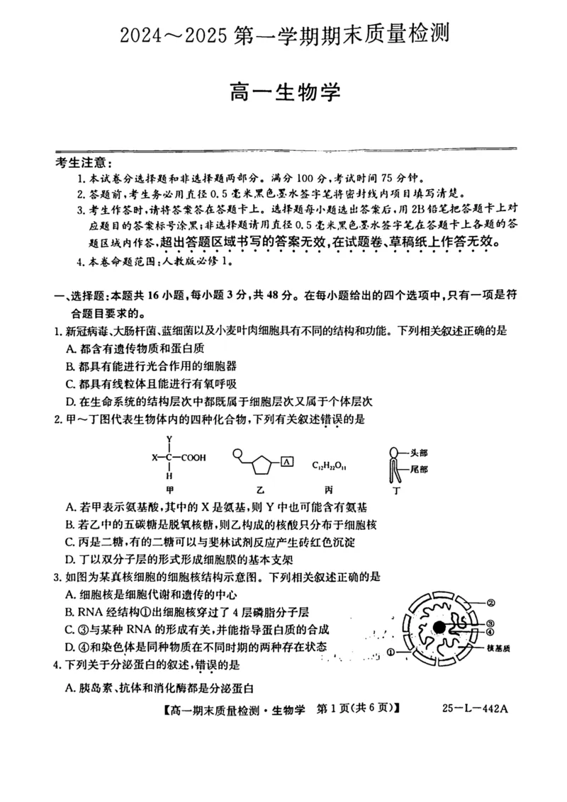 陕西省榆林市八校联考2024-2025学年高一上学期1月期末考试生物PDF版含解析_2024-2025高一（7-7月题库）_2025年01月试卷_0120陕西省榆林市八校联考2024-2025学年高一上学期1月期末考试