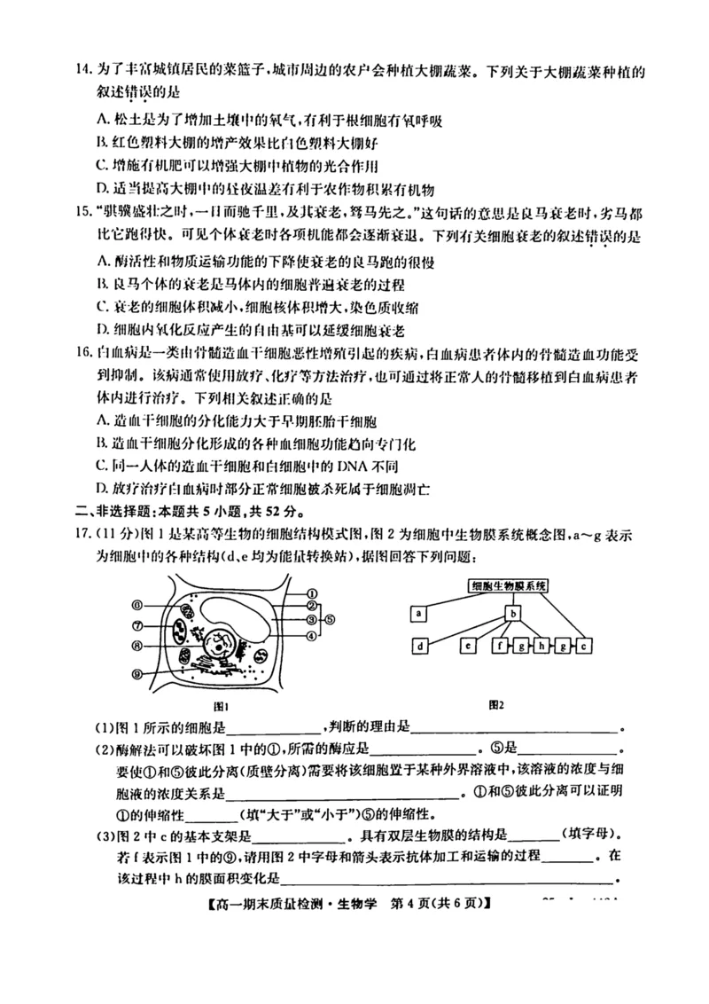 陕西省榆林市八校联考2024-2025学年高一上学期1月期末考试生物PDF版含解析_2024-2025高一（7-7月题库）_2025年01月试卷_0120陕西省榆林市八校联考2024-2025学年高一上学期1月期末考试